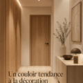 Couloir moderne avec décoration élégante et accessoires stylés