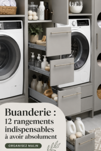 Une buanderie organisée avec des solutions de rangement pratiques et esthétiques.